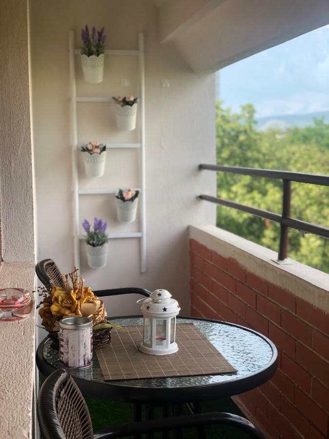 Leo Apartment Nis Luaran gambar